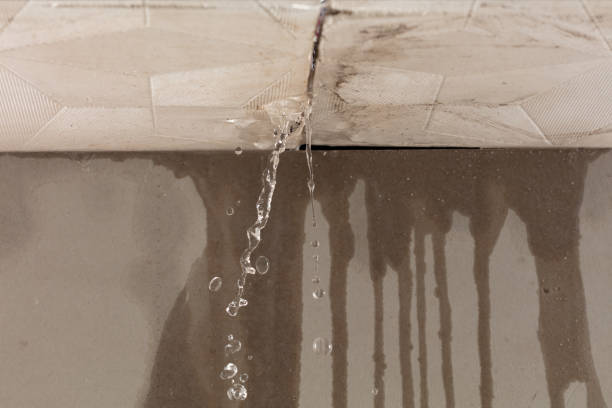 Professional Water Damage Repair technician working in Coldspring, TX